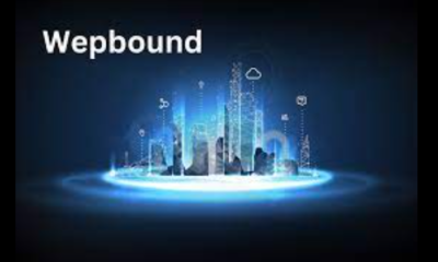 Maximizing Your Experience on Wepbound: Tips and Tricks for Users