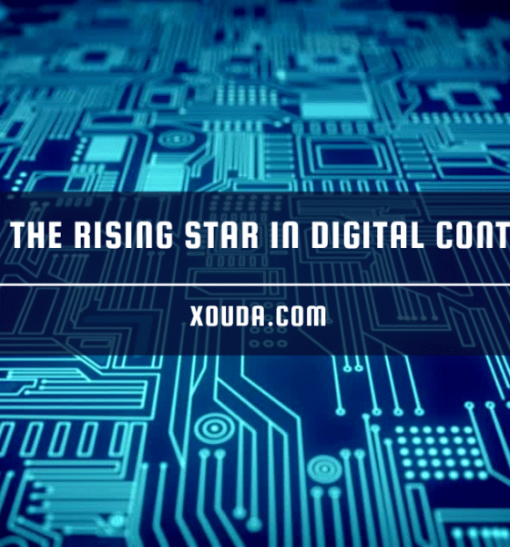 chubbs4l20: The Rising Star in Digital Content Creation