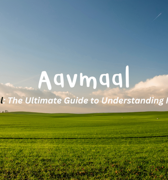 aavmaal: The Ultimate Guide to Understanding Its Impact