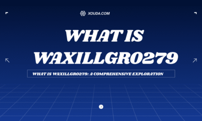what is waxillgro279: A Comprehensive Exploration