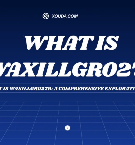 what is waxillgro279: A Comprehensive Exploration